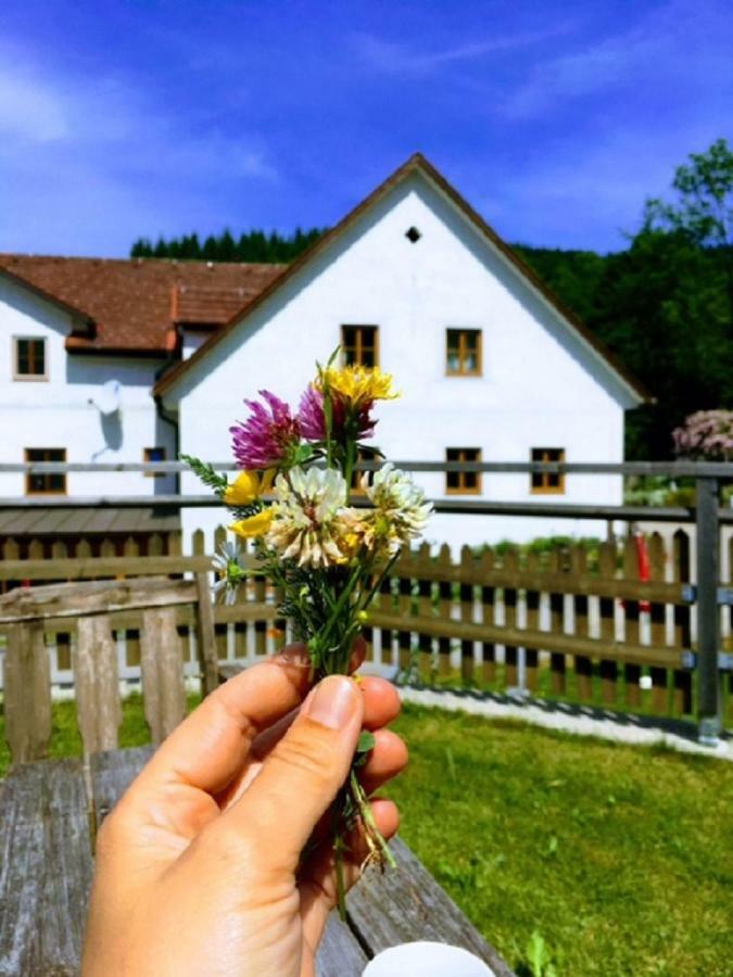 Ferienwohnung Einkehrhof Poggau Reinsberg Exterior foto